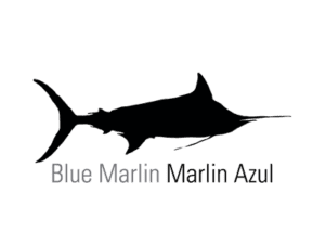 Blue Marlin Fishing La Paz