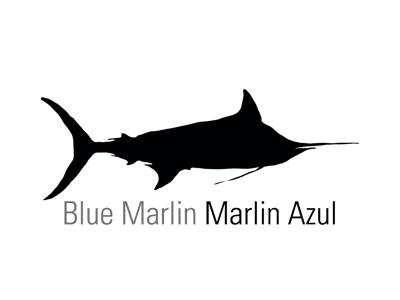 Blue Marlin Fishing La Paz