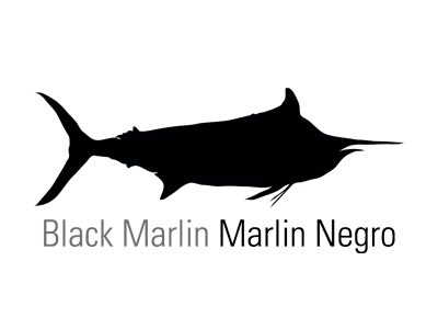 Black Marlin Fishing