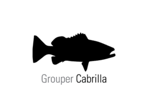 Cabrilla Fishing In La Paz