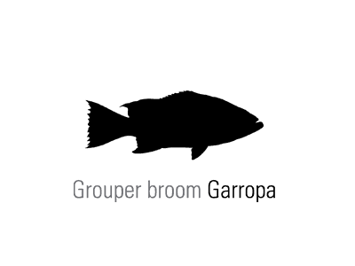 Broomtail Grouper