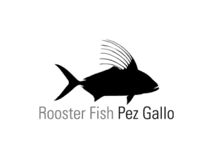 Roosterfish Fishing La Paz