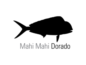 Mahi Mahi Fishing La Paz