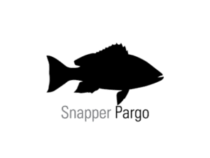 Pargo Fishing in La Paz