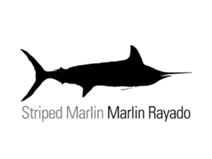 Striped Marlin Fishing La Paz