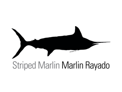 Striped Marlin Fishing La Paz