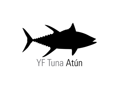 Baja Tuna Fishing
