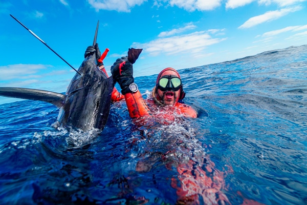 Spearfishing Marlin