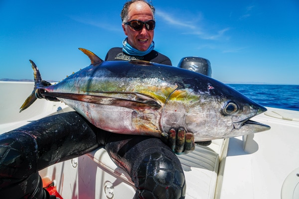 Spearfishing Tuna