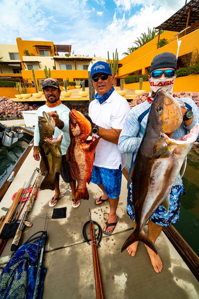 cabrilla, Pargo, Amberjack spearfishing in La Paz