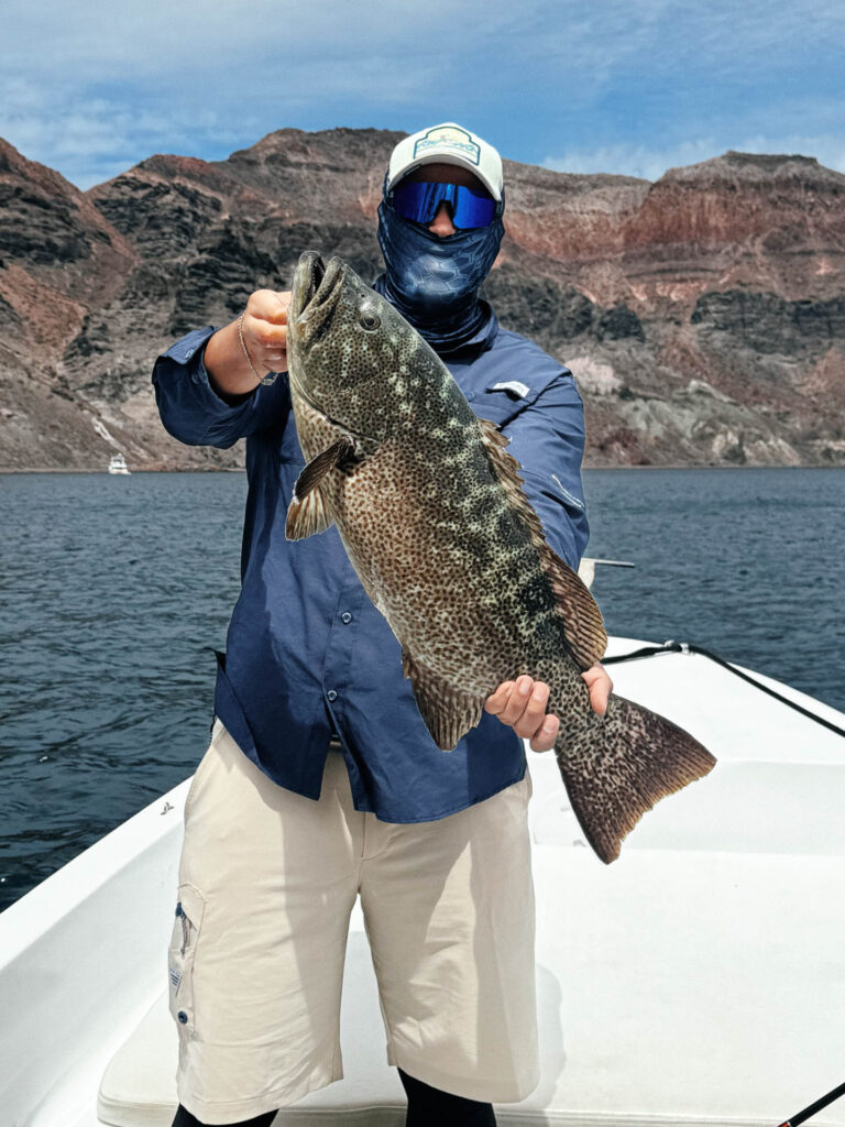 A cabrilla caught while fishing close to rocky structure, one of the most productive areas for bottom fishing around La Paz.