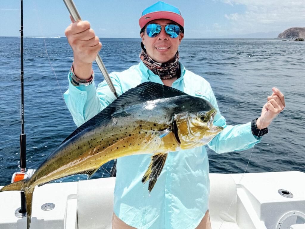 A colorful dorado caught offshore during a La Paz fishing charter, adding variety to the week’s fishing action.