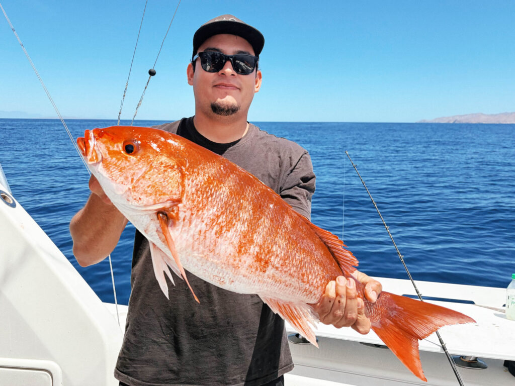 A beautiful huachinango, or red snapper, caught during a productive fishing day around La Paz and the Sea of Cortez.