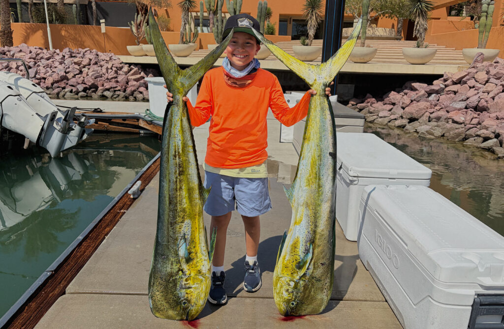 dorado fish hooks paz mexico La Paz Fishing Report: Spectacular Dorado and Tuna Move Closer