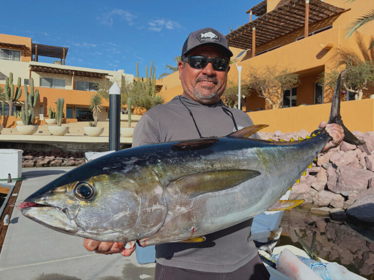 La Paz Fishing Report: Dorado, Marlin, and Tuna