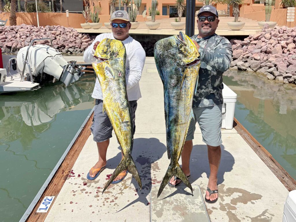 Two Anglers with Bull Dorado at the Marina